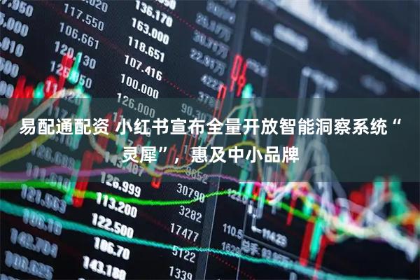 易配通配资 小红书宣布全量开放智能洞察系统“灵犀”，惠及中小品牌
