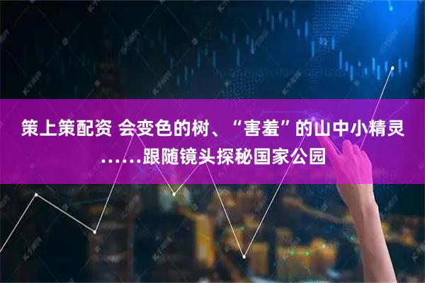 策上策配资 会变色的树、“害羞”的山中小精灵……跟随镜头探秘国家公园