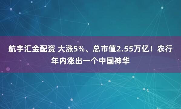 航宇汇金配资 大涨5%、总市值2.55万亿！农行年内涨出一个中国神华